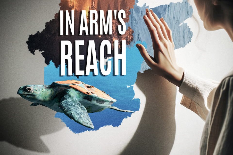 In Arm's Reach cover art